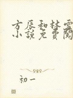 方辰和林雪妍的小说免费阅读无弹窗笔趣阁