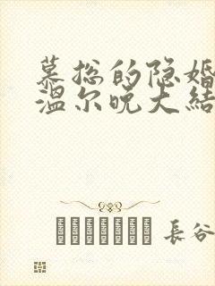 慕总的隐婚罪妻温尔晚大结局