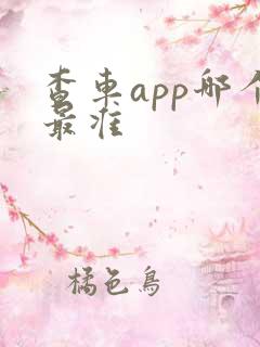 查车app哪个最准