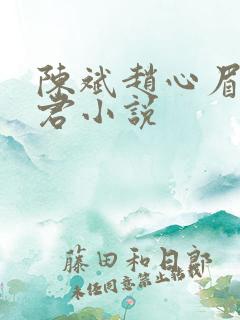 陈斌赵心眉高婉君小说