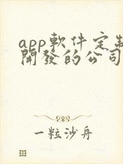 app软件定制开发的公司哪家好