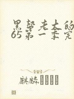 黑帮老大的我365第一季完整版免费