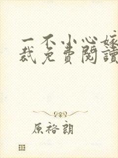 一不小心嫁了总裁免费阅读