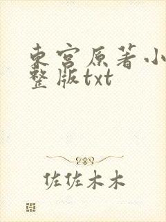东宫原著小说完整版txt