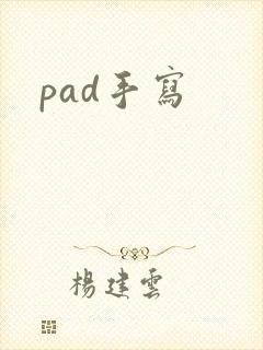 pad手写