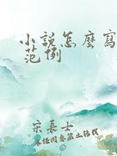 小说怎么写大纲 范例