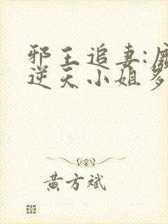 邪王追妻:废材逆天小姐多少字