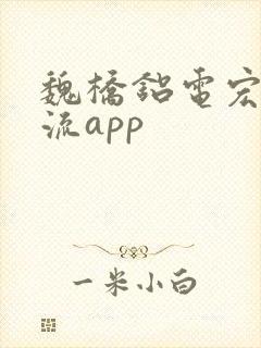 魏桥铝电宏桥物流app