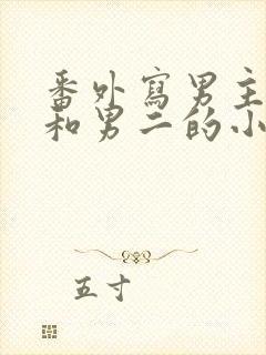 番外写男主妹妹和男二的小说