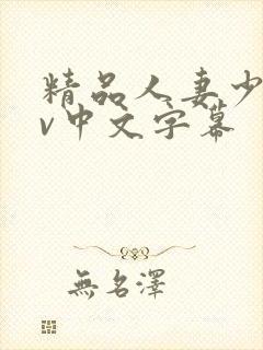 精品人妻少妇av中文字幕