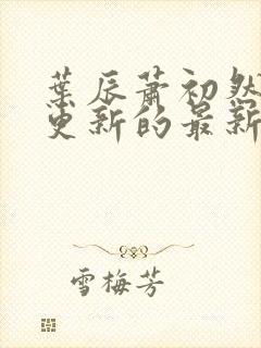 叶辰萧初然刚刚更新的最新章节