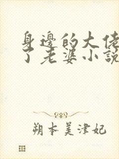 身边的大佬都成了老婆小说