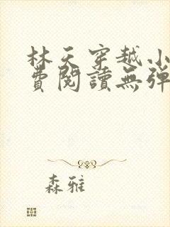 林天穿越小说免费阅读无弹窗