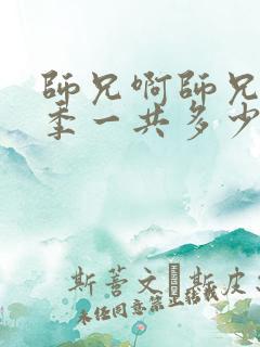 师兄啊师兄第二季一共多少集