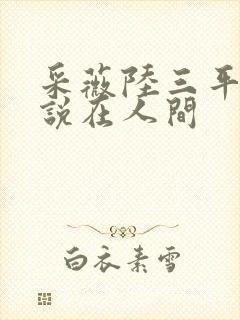 采薇陆三平的小说在人间