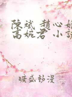 陈斌 赵心媚 高婉君 小说