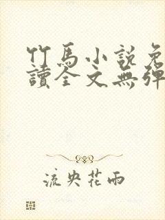 竹马小说免费阅读全文无弹窗