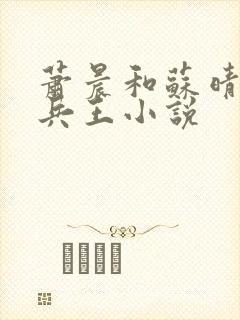 萧晨和苏晴全能兵王小说