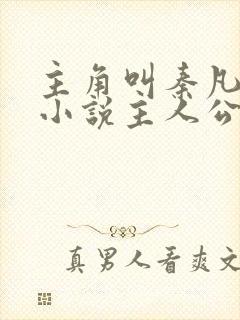 主角叫秦凡是的小说主人公