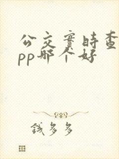 公交实时查询app哪个好