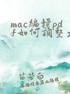 mac编辑pdf如何调整大小