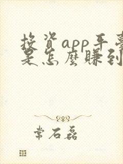 投资app平台是怎么赚到钱的