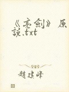 《亮剑》原著小说.txt