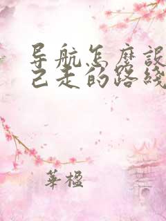 导航怎么设置自己走的路线