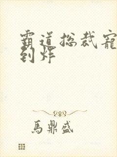 霸道总裁宠文甜到炸