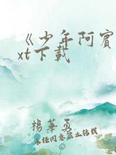 《少年阿宾》txt下载