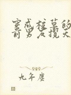 穿成校草的炮灰前男友揽天星