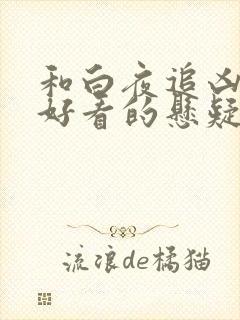 和白夜追凶一样好看的悬疑电视剧