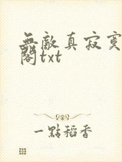 无敌真寂寞笔趣阁txt