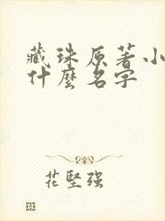 藏珠原著小说叫什么名字