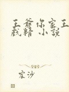 王爷你家王妃是戏精 小说