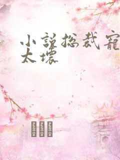 小说总裁宠妻别太坏