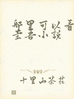 哪里可以看东野圭吾小说