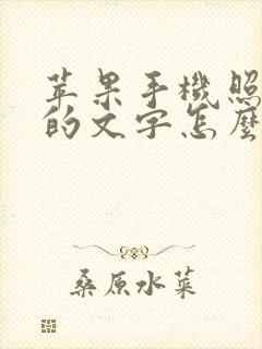 苹果手机照片上的文字怎么修改