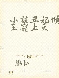 小说丑妃倾城夜王宠上天