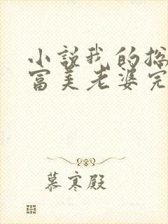 小说我的总裁白富美老婆完结版