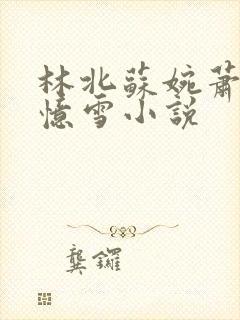 林北苏婉萧晴韩忆雪小说