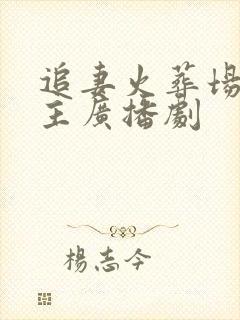 追妻火葬场双男主广播剧