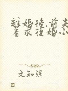 离婚后,前夫哭着求复婚小说全文在线阅读