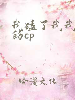 我磕了我我对家的cp