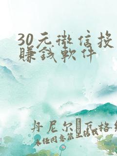 30元微信投票赚钱软件