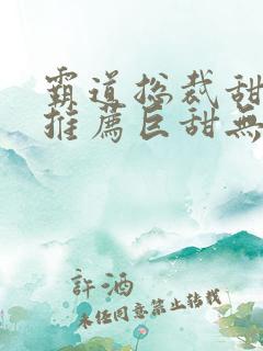 霸道总裁甜宠文推荐巨甜无虐