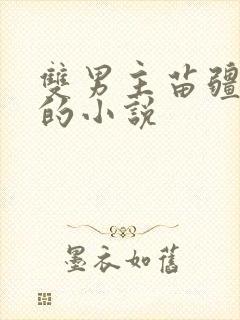 双男主苗疆少年的小说