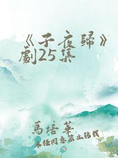 《子夜归》电视剧25集