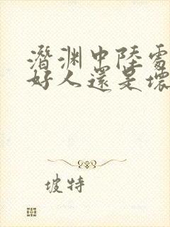 潜渊中陆处长是好人还是坏人