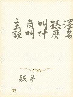 主角叫孙泽的小说叫什么名字